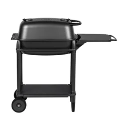 Kamado Joe Classic II -Aanbiedingen BBQ Plezier Winkel image 49